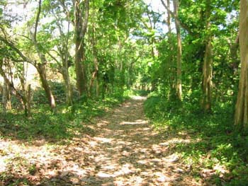 Vue de la finca de 68 has de Paquera, Costa Rica